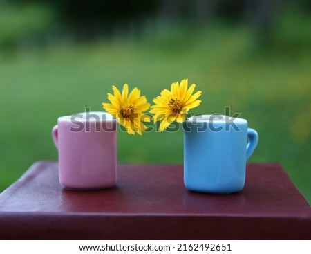 yellow flowers in a cup on a book on a bright blurred background. The season of learning and knowledge. Lifestyle.