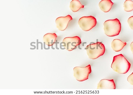 Rose petals on a white background. Pink rose petals. Colored background.