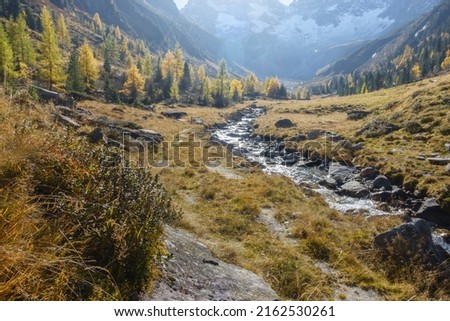 Mountain river through an autumn landscape