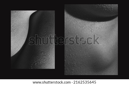 Creative look at the beauty of female body. Set with closeup images of part of woman's body. Skincare, bodycare, healthcare concept. Design for abstract poster, artwork, picture. Monochrome