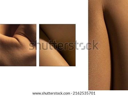 Creative look at the beauty of female body. Set with closeup images of part of woman's body. Skincare, bodycare, healthcare concept. Design for abstract poster, artwork, picture. Monochrome Royalty-Free Stock Photo #2162535701