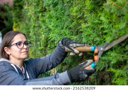 Cheerfully woman Cutting a hedge with clippers. Female Hands with garden shears cutting a hedge in the garden. Garden worker trimming plants. topiary art. gardening service and business concept.
