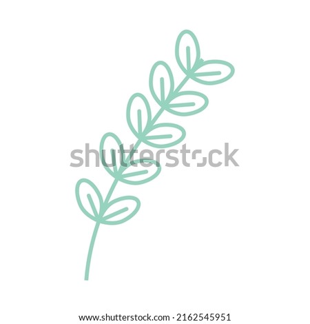 branch with leaves on white background