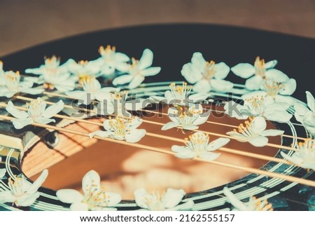 Flowers on guitar strings. Musical instrument. Strings up close. Musical flowers