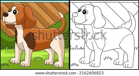 Beagle Dog Coloring Page Colored Illustration