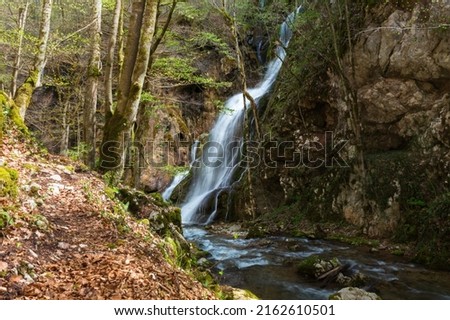 Forest waterfall, rocks covered with green moss.Deep forest at center of the forest with a waterfall.