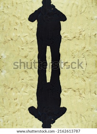 A double shadow of a young photographer on the sand at the Beach