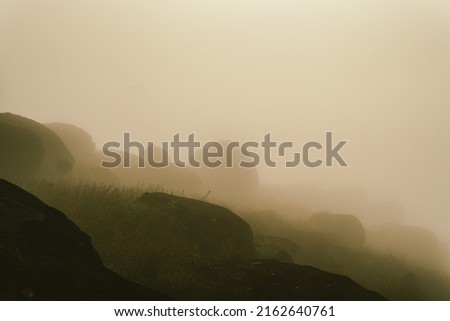 Nature of life, a natural elevation of the earth's surface rising more or less abruptly to a summit, and attaining an altitude greater than that of a hill Royalty-Free Stock Photo #2162640761