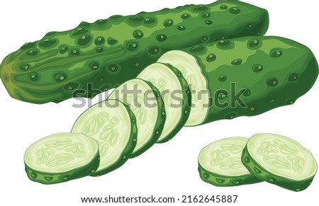Green cucumber. Image of a ripe sliced green cucumber. Green vegetarian product. Vector illustration isolated on a white background Royalty-Free Stock Photo #2162645887