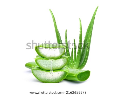 Aloe vera sliced with gel dripping isolated on white background.  Royalty-Free Stock Photo #2162658879