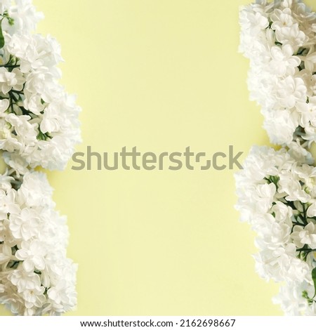 Beautiful flower arrangement. Lilac flowers, free space for text on a light pastel background. Wedding, birthday. Valentine's day, mother's day. Top view, copy space