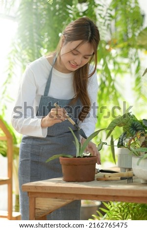 A young woman is caring for trees in a greenhouse, planting trees in a greenhouse, planting equipment, planting trees.