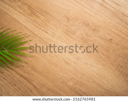 Creative layout made of tropical green palm leaves isolated on wood background