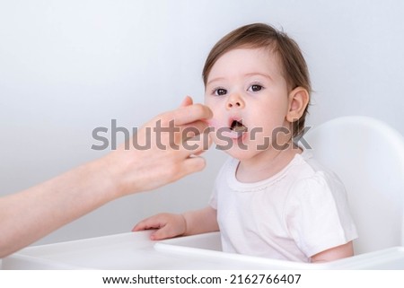 Baby girl eating blend mashed food sitting, on high chair, mother feeding child, hand with spoon for vegetable lunch, baby weaning, first solid food for young kid. Royalty-Free Stock Photo #2162766407