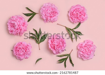 Composition with delicate pink peony flowers on a pastel pink background. Greetind card mockup.