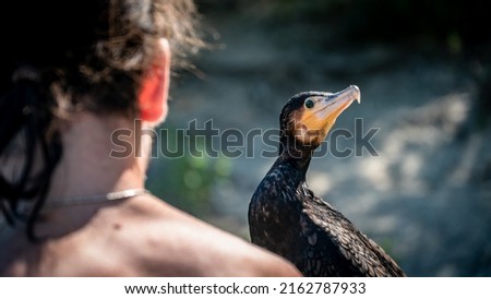 Great cormorant (Phalacrocorax carbo) perching on a human's arm