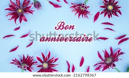  Bon anniversaire means Happy Birthday in French. Vibrant flat lay with burgundy chrysanthemums flowers on blue color paper. 