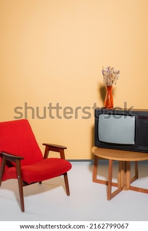 Armchair near tv and flowers on coffee table on orange background