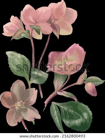 Realistic flowers isolated on black background, vector graphic, textile and paper print.