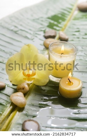 Macro of yellow orchid with stones and candle  with big leaves with wet drop background.