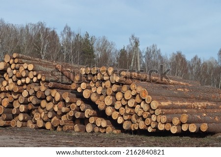 logging,in the photo wooden logs against the blue sky.