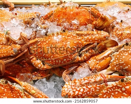 Steamed Crab is a famous seafood dish put on a wooden table with copy space