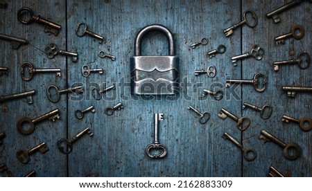 Antique door lock and old keys on a tree. Find your matching key to the lock. Concept and idea on the topic of security, history, protection, guard, secret, preservation, etc. Retro style. Royalty-Free Stock Photo #2162883309