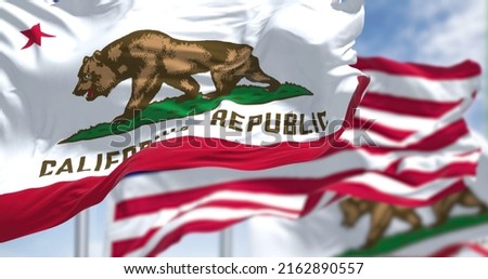 Two California state flags flying along with the national flag of the United States of America. In the background there is a clear sky. The flag depicts a walking bear and a five-pointed red star