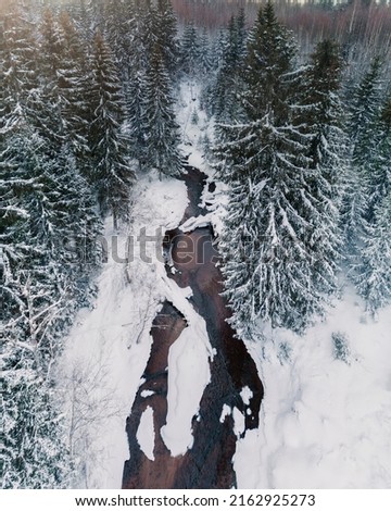 Birds eye view of small river in snowy forest