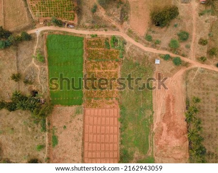beautiful drone shot aerial view top angle bright sunny day clay red soil agricultural fields lands green meadows background fertile village india tamilnadu madurai ruralscape cultivation 