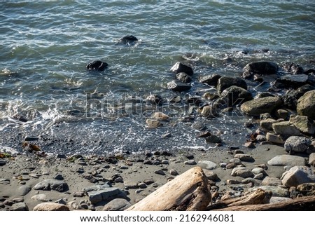 Rocky coastline of False Bay in San Juan Island, WA, refilling after low tide on a sunny day