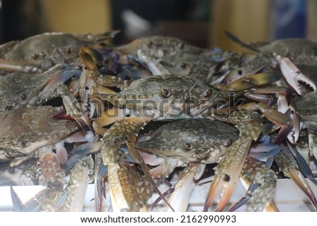 Closeup Shot of Crabs in the Seafood Market of Cox's Bazar, Bangladesh Royalty-Free Stock Photo #2162990993