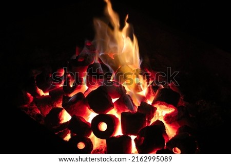 Closeup of Campfire or Barbeque Fire Royalty-Free Stock Photo #2162995089
