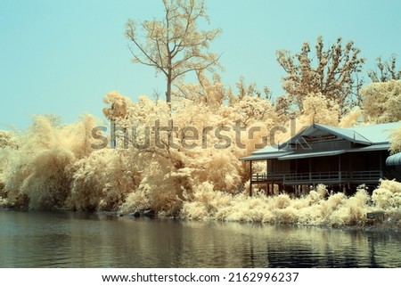 Infrared photography classic house by the water white tree