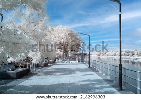 Infrared photography ฺBeautiful tree in the Park White tree