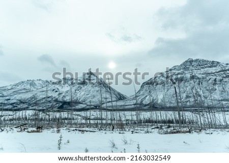 Scenic winter views in Canada with white landscape. 