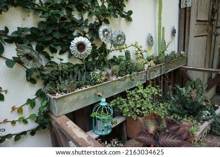 cottagecore garden, outdoor pods, green plant on the wall