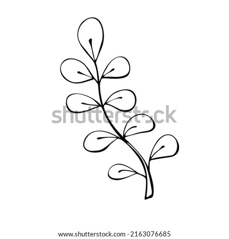 Vector abstract outline leaf in Doodle style isolated on white background. Simple design for scrapbooking, coloring books, and theme nature design.