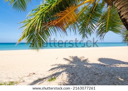 Amazing beautiful Phuket beach with coconut palm trees Thailand Landscapes view of sand beach sea and clear blue sky in summer season At Beach Phuket Thailand