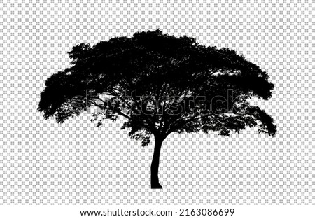 Tree silhouette on transparent background with clipping path and alpha Royalty-Free Stock Photo #2163086699