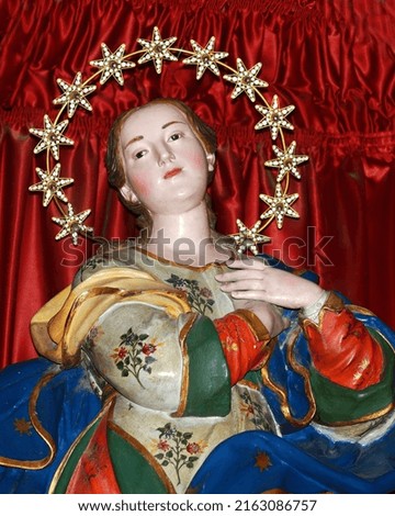 The Immaculate Virgin with the crown of 12 stars