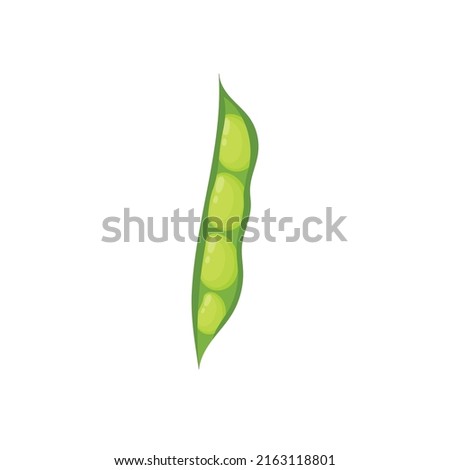 Pod of green beans isolated element. Healthy food print for farm market menu and recipes. Vector illustration
