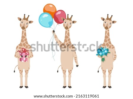 Giraffe with different holiday attributes. Animal in cartoon style.