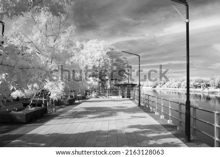 Infrared photography Black and White beautiful tree in the Park