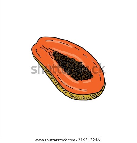 Papaya. Colored simple doodle. Vector clipart, isolated on white