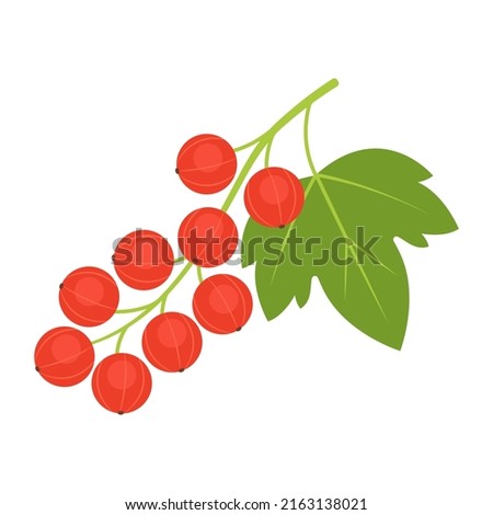 Redcurrant branch isolated on white background. Ribes rubrum or red currant twig icon for package design. Vector berries illustration in flat style. Royalty-Free Stock Photo #2163138021
