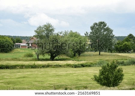 Beautiful poppy meadows, tree lines and swamp landscapes. Cloudy sky and bright colors