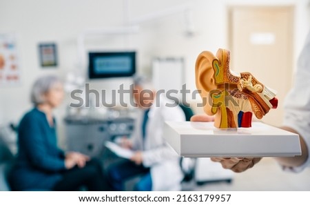 Anatomical model of human ear in doctor hands, close-up. Hearing treatment and diagnosis for senior patient with audiologist at hearing clinic over background, soft focus Royalty-Free Stock Photo #2163179957