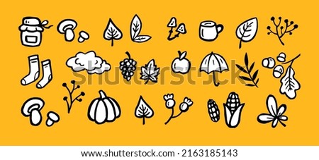 autumn set icons. autumn clip art black and white. sketch set - leaves, harvest, season. vegetables, plants