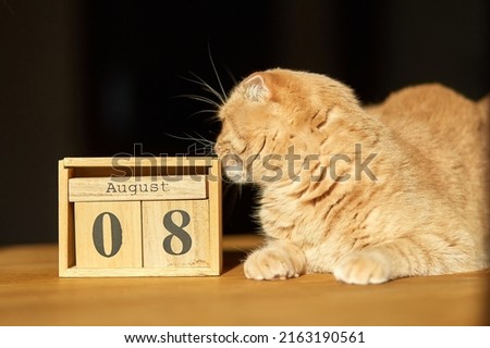 World Cat Day, 8 August on wooden calendar with ginger cat sitting on the table at home. Royalty-Free Stock Photo #2163190561